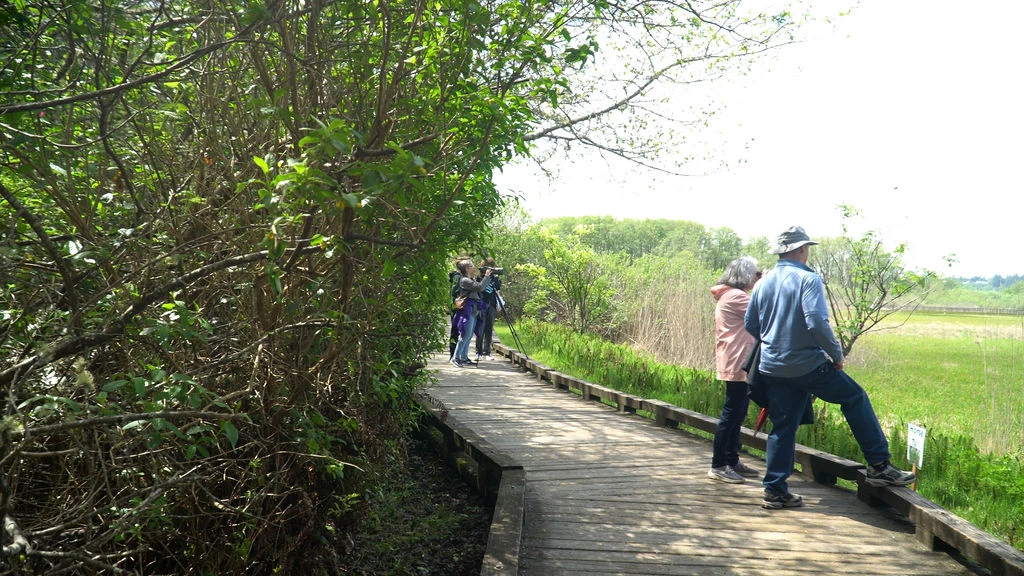 Bird watching on the Sandpiper Trail