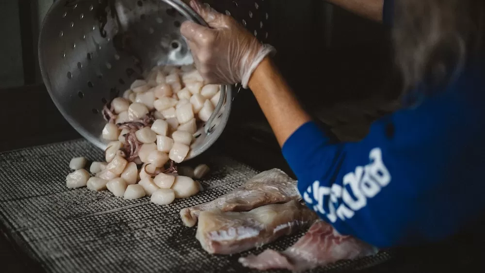 Fresh Seafood in Grays Harbor County