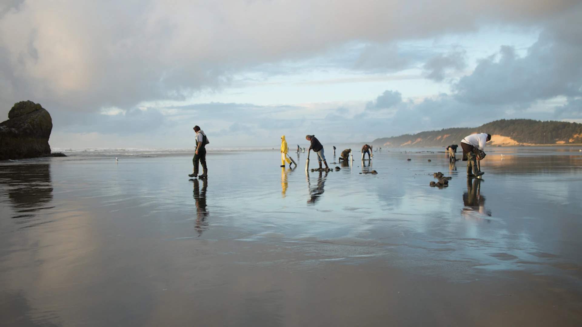 Clam Digging